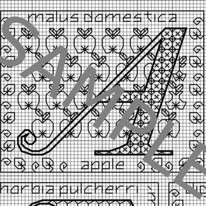 Blackwork Floral Alphabet Sampler Chart PDF CHART image 5