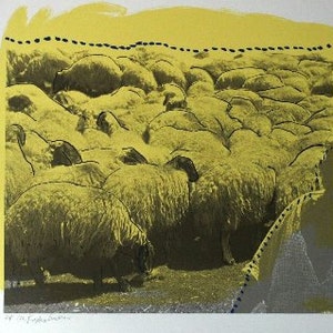 Menashe Kadishman Signed Original Ltd Edition  Yellow Herd of Sheep