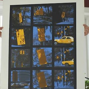 Menashe Kadishman Original Limited Edition Print Signed & Designated
