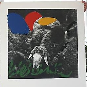 Menashe Kadishman Original Limited Edition Print  Signed & Designated