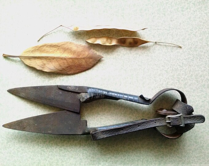 Rusty Garden Sheep Shears Vintage Industrial Salvage Farm Tool Etsy