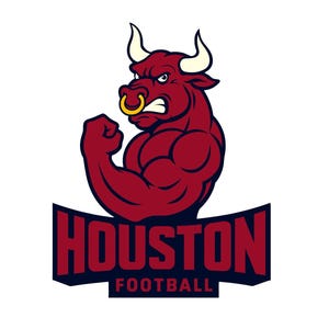 Houston Football Inspired Design fan art for Printing, Cutting and Sublimation & - Svg, Eps, Png,Dxf, Cricut, Silouhette