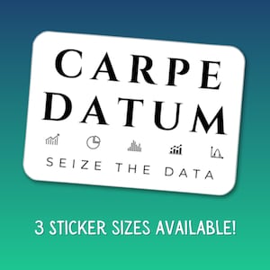 Carpe Diem Seize the Data Vinyl Sticker For Data Lovers Data Analyst Data Driven Enthusiast Analyst, Laptop Water Bottle Decoration