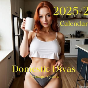 Dive domestiche: un calendario Vyntage Vyxens, regalo per lui, regali per lei, regali di compleanno, calendario sexy, calendario per ragazze