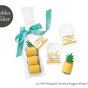 nr.794 Ananasnuggetswraps Digital nedladdning