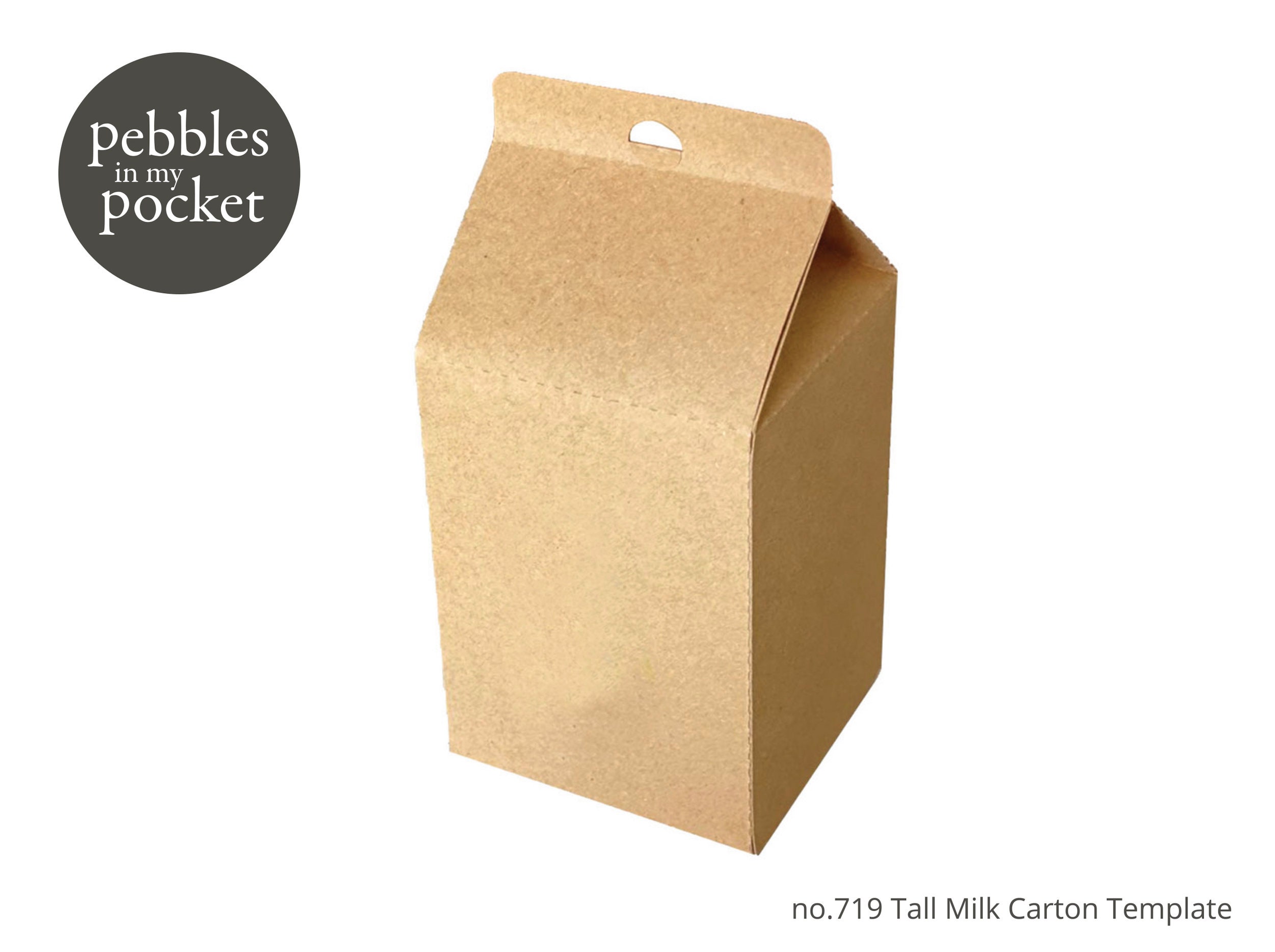 Tall Milk Carton Digital Download SVG Pdf