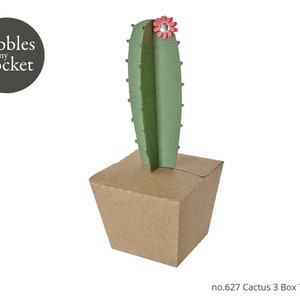 no.627 Cactus 3 Box Digital Download SVG & Pdf