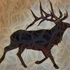 Bull Moose