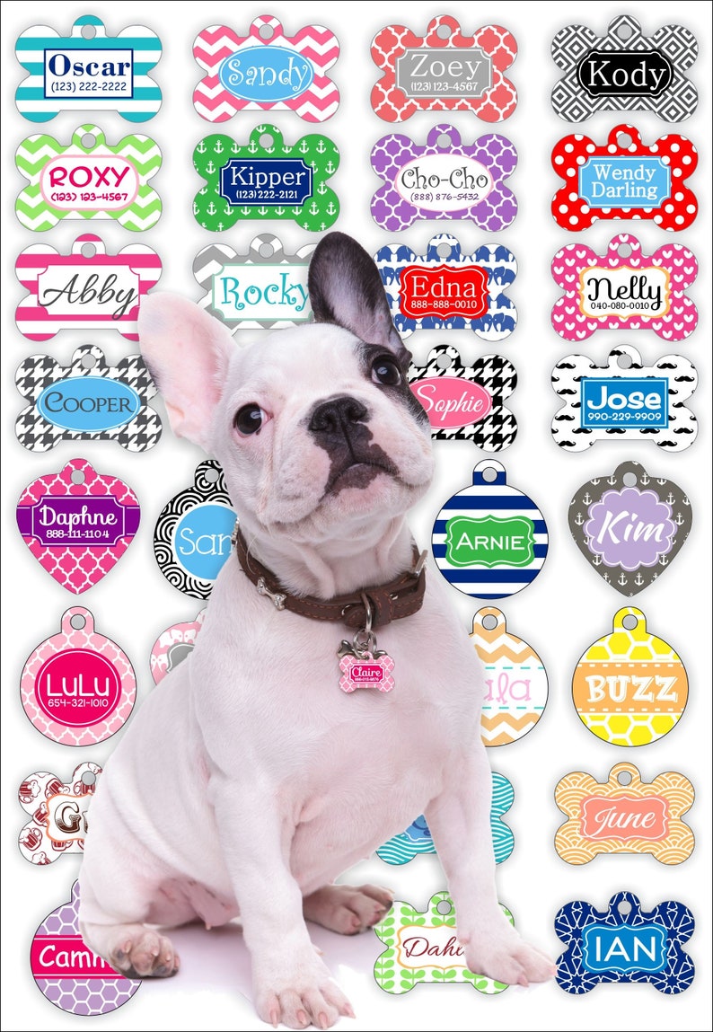 unique pet tags
