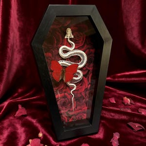 Gothic Sarg Rahmen: Roter Schmetterling & Schlange Skelett - Dark Academia Oddties Art