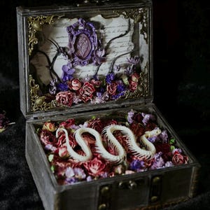 Peut inclure: Un coffret en bois ouvert, rempli de fleurs séchées rouges et violettes. À l'intérieur, un squelette de serpent blanc est enroulé. L'intérieur du coffret présente un camée violet encadré et des éléments décoratifs.