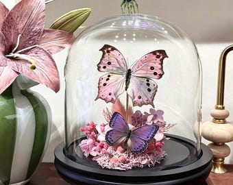 Rare Pink & Purple Tailed Butterfly Glass Dome, Real Lycaenidae Specimen, Collector Memento Mori Art, Dark Romance Decor, Heirloom Gif