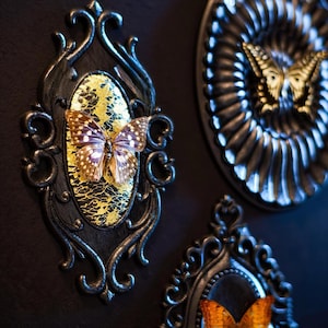 Puede incluir: Arte decorativo de mariposas en marcos negros. La pieza principal presenta una mariposa con alas manchadas marrones y blancas, sobre un fondo dorado y negro estampado. El marco tiene un diseño de volutas. También se ven otras obras de arte de mariposas.
