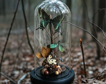 Real Green Butterfly & Damselfly Glass Dome, Forest Specimen Display, Cottagecore Decor, Naturalist Gift, Dark Academia Shelf Art