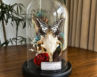 Fox Skull Glass Dome, Gothic Butterfly & Preserved Rose Display, Dark Academia Decor, Memento Mori Art, Witchy Curio Gift