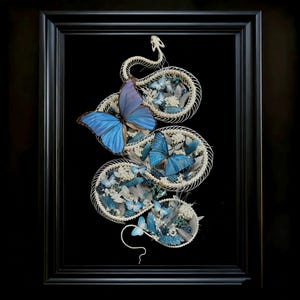 Puede incluir: Obra de arte enmarcada con un diseño de esqueleto de serpiente, mariposas azules y detalles florales. Las mariposas tienen alas de color azul brillante. La obra está sobre un fondo negro.