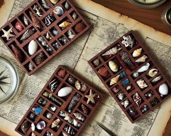 Mini Curio Shelf Magnet: Gothic Cabinet of Curiosities Decor