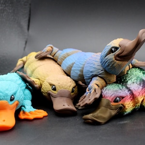 Ornitorrinco articulado impreso en 3D: figura de ornitorrinco adulto, decoración de escritorio de animales fantásticos