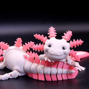 Figurine articulée d&#39;axolotl - animal de compagnie de bureau articulé imprimé en 3D et cadeau de collection