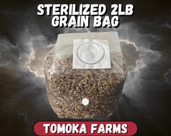 Sterile Rye Grain Bag – Mushroom Spawn | Rye Berries with Injection Port