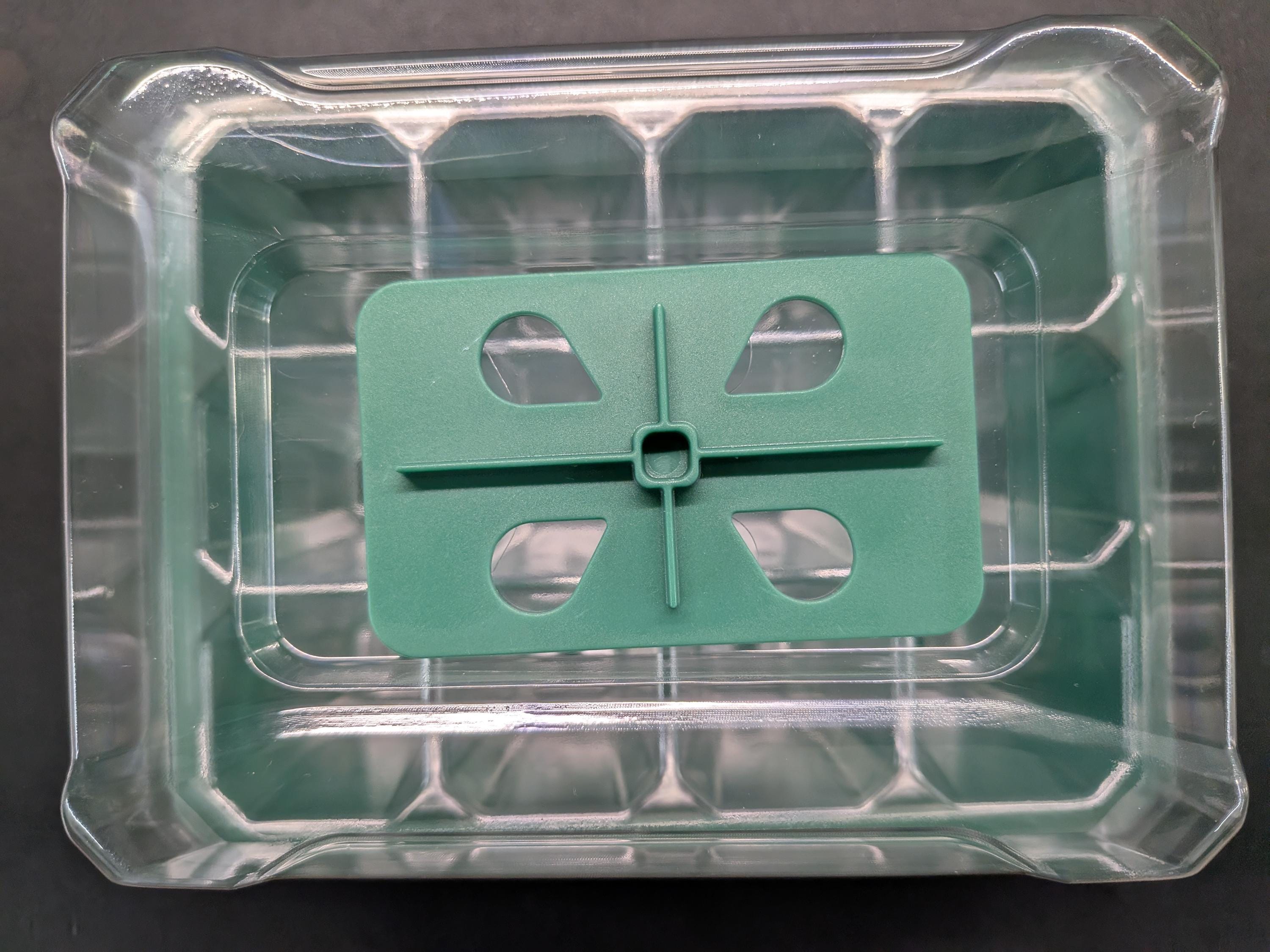 12-cell Plant Tissue Culture Acclimation Kit: Seed Starter Tray - Etsy