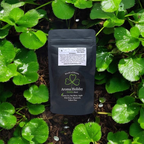 DUBLIN Scented Soy Wax Melt Pack, Floral, Anniversary, House Warming, Home Fragrance Gift