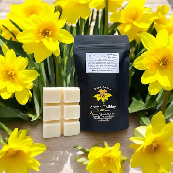 Cardiff Floral Scented Soy Wax Melts, Welsh Home Fragrance 2-Pack