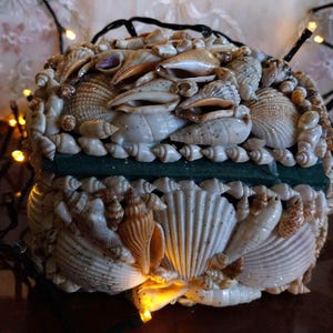 Grande scatola portagioie a forma di conchiglia: cofanetto vintage foderato in velluto, portagioie vintage a forma di conchiglia, scatola portagioie a forma di conchiglia, conchiglia marina dell'oceano.