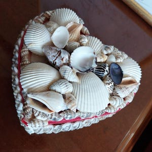 White Seashell Covered Jewelry Trinket Box Hand made | ANTIQUE seashell box | Vintage Shell Trinket Box | Velvet Lined Boho Jewelry Box