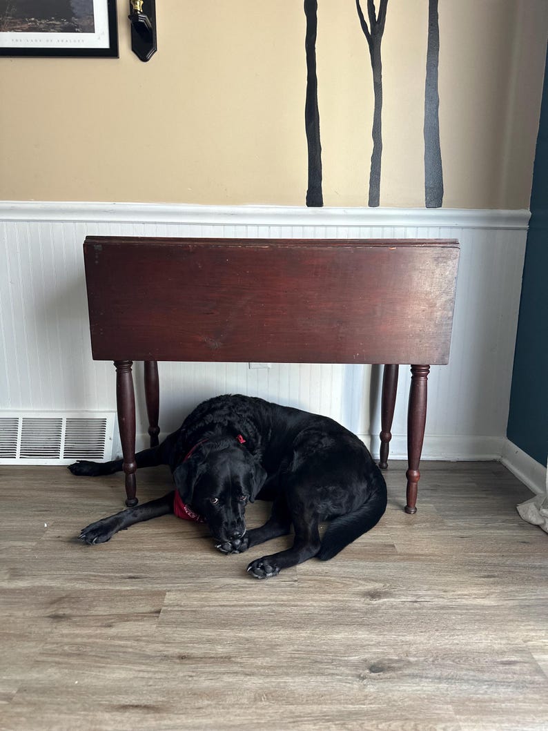 1830s Rustic Drop Leaf Table, 19th Century Kitchen Table, Antique