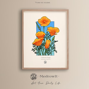 Handgezeichnete California Poppy Wandkunst - Sonnenschein Retro Botanische Druck Malerische Blumen Wohnkultur Natur inspirierte Blumen Illustration