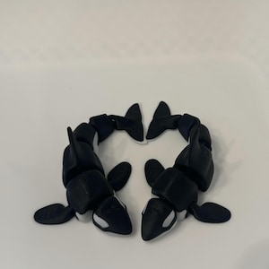 Baleias orcas articuladas