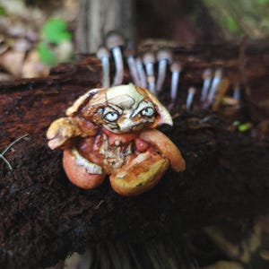 Rocklin, Handmade Rock Goblin creature - Whimsical Stone Art