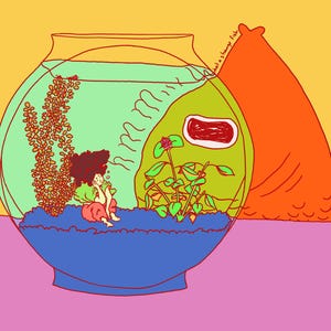 Fish Bowl