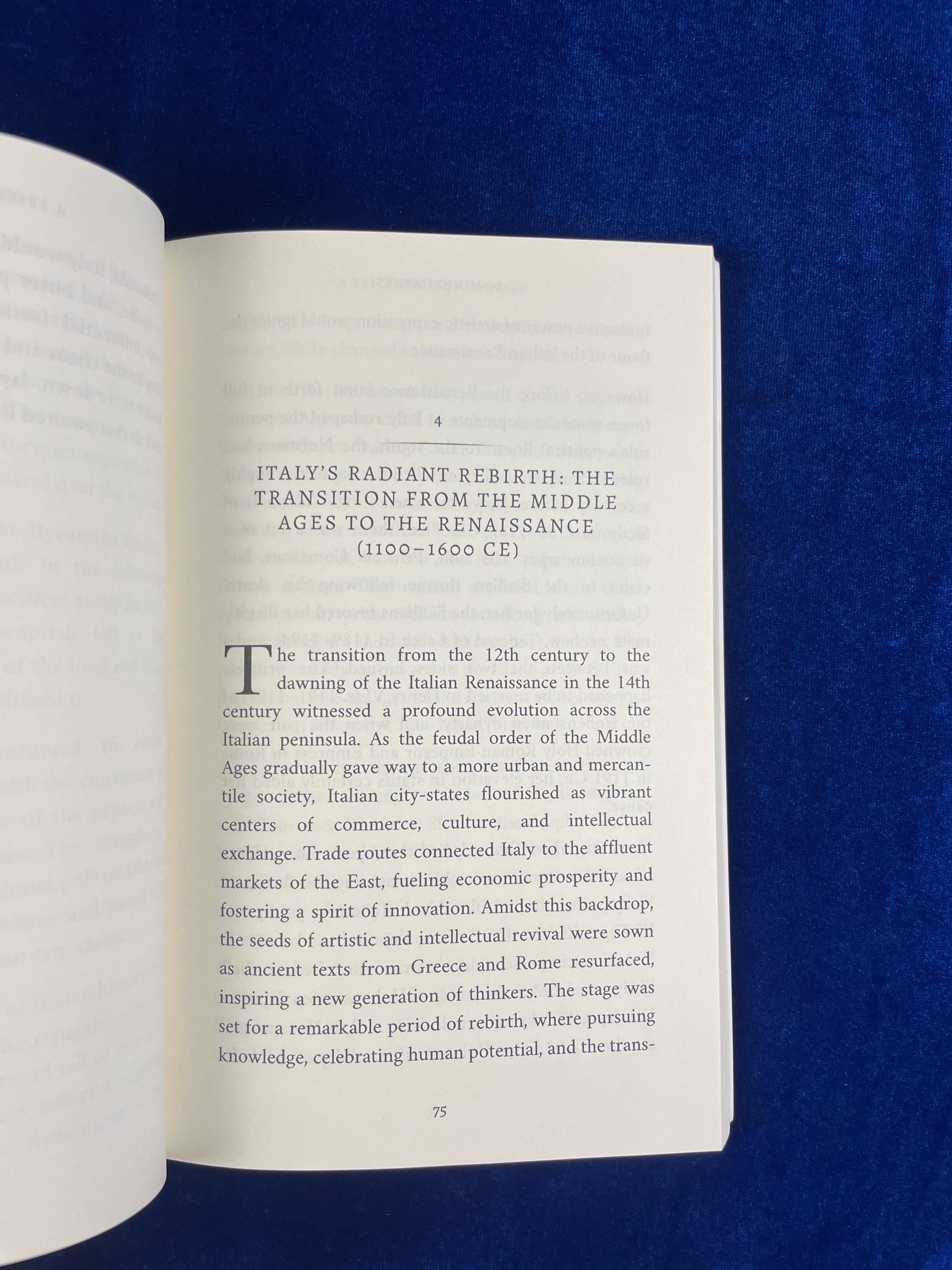 A Brief History of Italy — Dominic Haynes (2023, Softcover) - Etsy