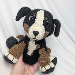 Custom Pet Recreations