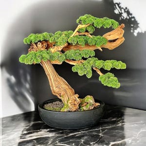 Realistic Bonsai Pine Tree, Artificial Bonsai, Natural looking Bonsai Tree, Tabletop Bonsai, Faux tree, Asian Decor, Home Decor, Faux Bonsai