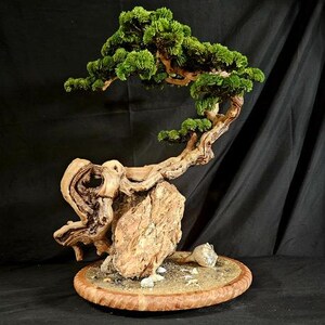 Artificial Bonsai Pine Tree, Realistic Bonsai, Faux bonsai, fake bonsai, Natural looking Bonsai, Ocean Theme Installation, Bonsai on Rocks