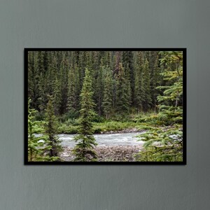 Serene Forest & Flowing River | Digital Download | Printable Wall Art | Nature Landscape | Evergreen Trees and Water | Home and Office Décor