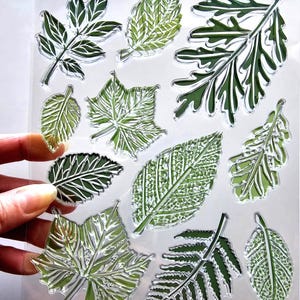 Grands tampons transparents FEUILLES VERTES estampage en caoutchouc fabrication de cartes Noël automne été impression de feuilles érable fougère nature artisanat