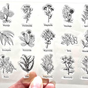 Clear Stamps TINY HERBS Wild Plant Flower Rubber Stamping Card Making Journaling Aloe Rosa Salvia Echinacea Eucalyptus Healing Herb Nature