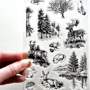 Tampons transparents ANIMAUX DE LA BOIS Estampage arbre cerf renard oiseau hérisson lapin cerf écureuil fabrication de cartes forêt nature journalisation