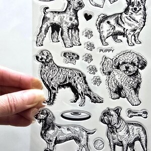Tampons transparents CHIENS MIXTES Schnauzer corgi Golden Retriever Bichon bouledogue teckel estampage fabrication de cartes Scrapbooking chien chiot animal de compagnie