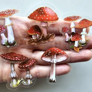 40 x autocollants TOADTOOLS RÉALISTES Champignon rouge blanc, champignons, fabrication de cartes, artisanat Scrapbooking, journalisation sol forestier, nature boisée
