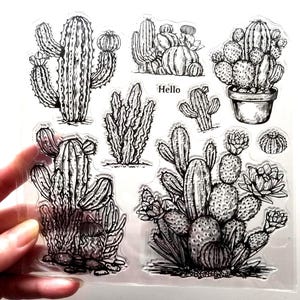 Tampons transparents CACTUS CACTUS Plantes Fleurs Estampage Scrapbooking Fabrication de cartes Plante d'intérieur Artisanat Nature Amérique Désert