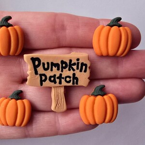 May include: An assortment of orange pumpkin-shaped decorations with green stalks and a sign that reads "Pumpkin patch". These small embellishments are ideal for autumn-themed crafts and seasonal decorations.