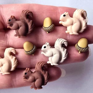 May include: A selection of miniature squirrel and acorn ornaments in brown and cream hues. The squirrels feature intricate fur detailing and are in different poses. The acorns have textured caps and smooth, yellow nuts. These small figurines are suitable for crafts or decorative use.