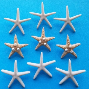 May include: Nine starfish, five white and four beige, with three pearl-like accents on each beige starfish. The starfish are arranged in a circular pattern on a blue background.