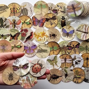 58 x INSECTES Autocollants Ronds En Plastique PVC Scrapbooking Fabrication De Cartes Artisanat Vintage Style Rétro Papillon Bugs Scarabée Libellule Oiseaux Abeille Grenouille