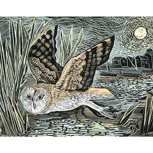 Cartão de felicitações em branco Marsh Owl por Angela Harding
